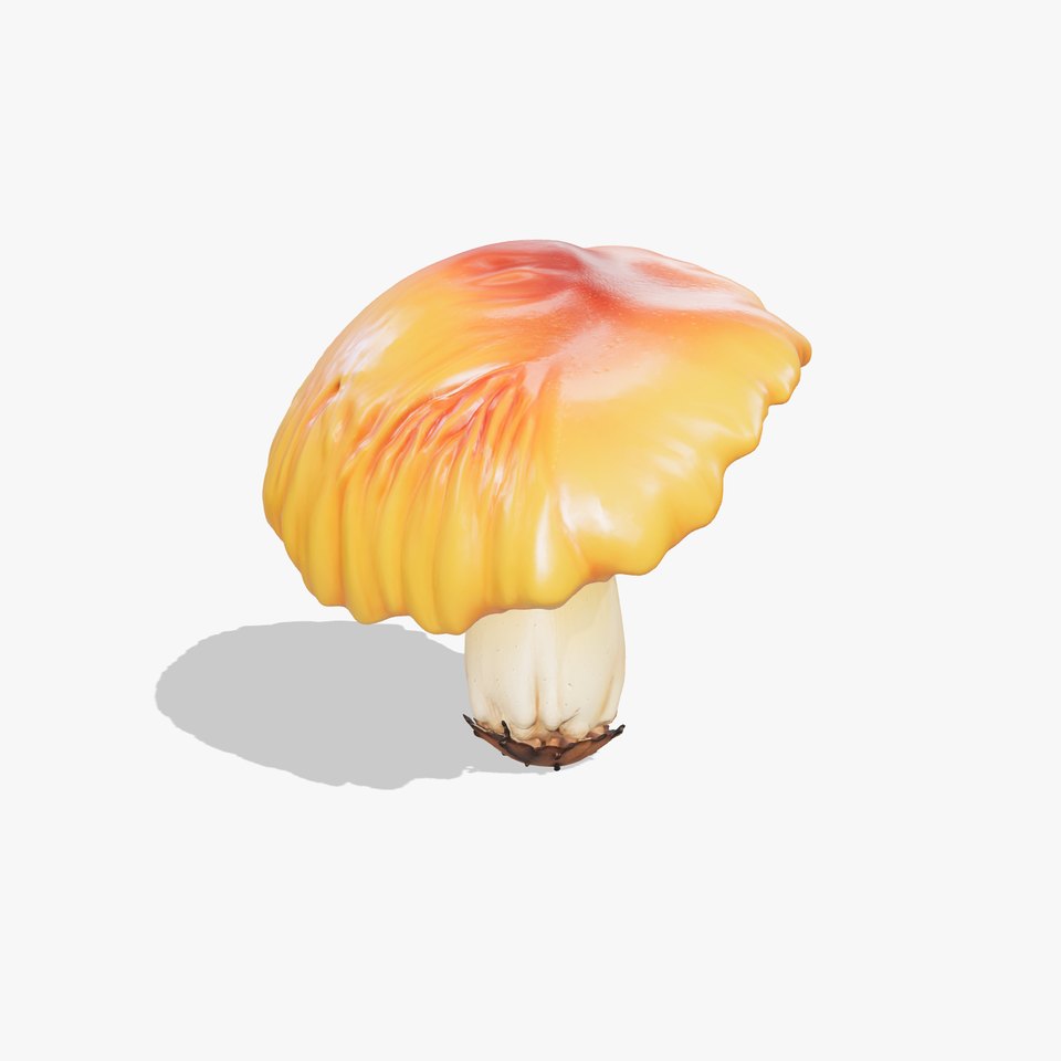 Mature Chanterelle Mushroom Model Pack